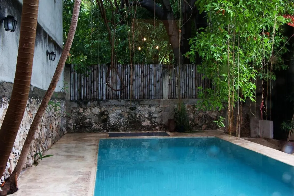 Oasis With Natural Pool In The Heart Of 梅里达 别墅