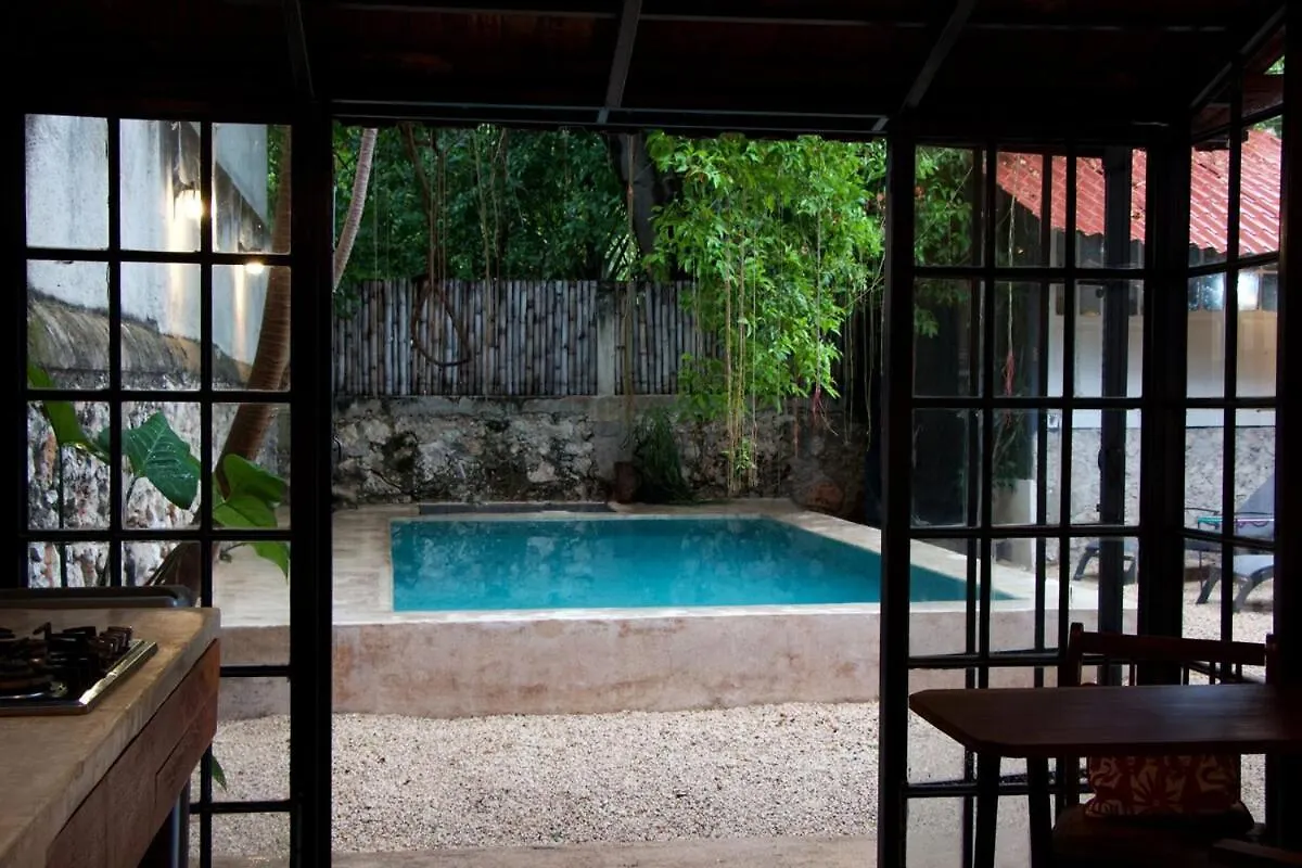 Oasis With Natural Pool In The Heart Of 梅里达 墨西哥
