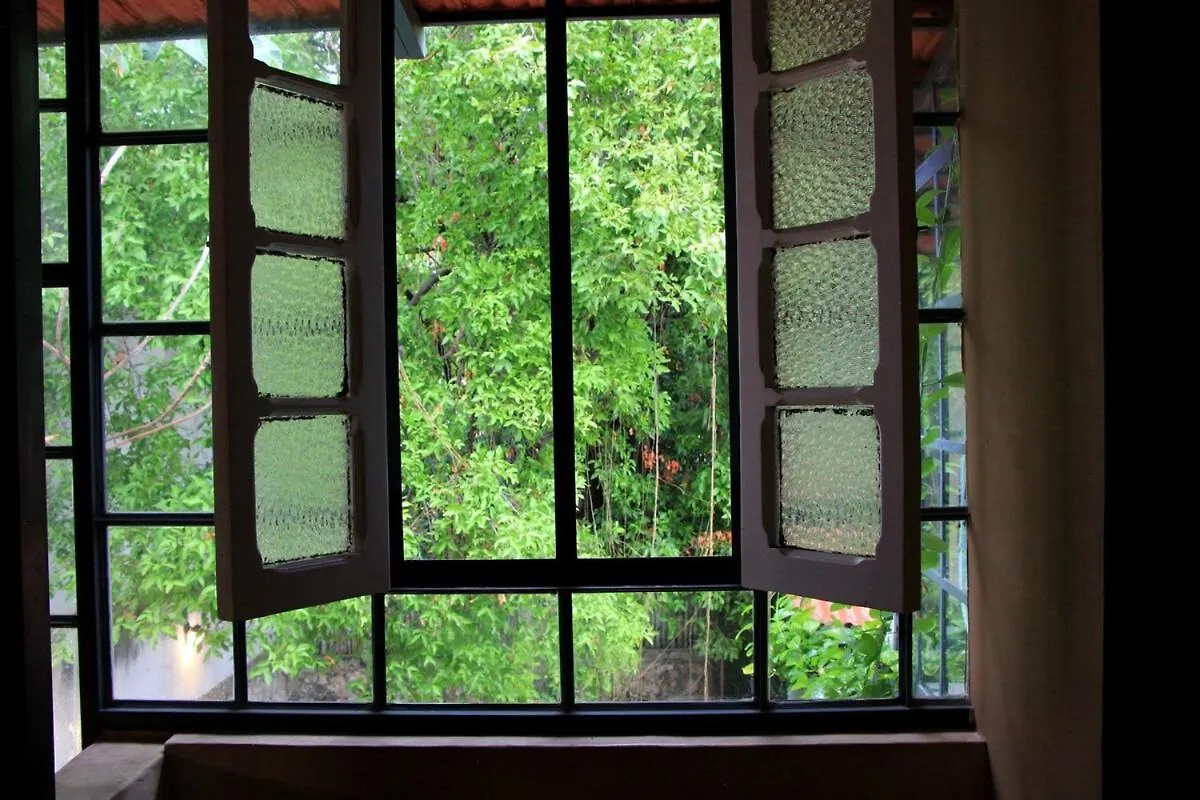 别墅 Oasis With Natural Pool In The Heart Of 梅里达