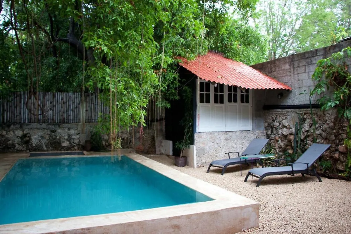 别墅 Oasis With Natural Pool In The Heart Of 梅里达