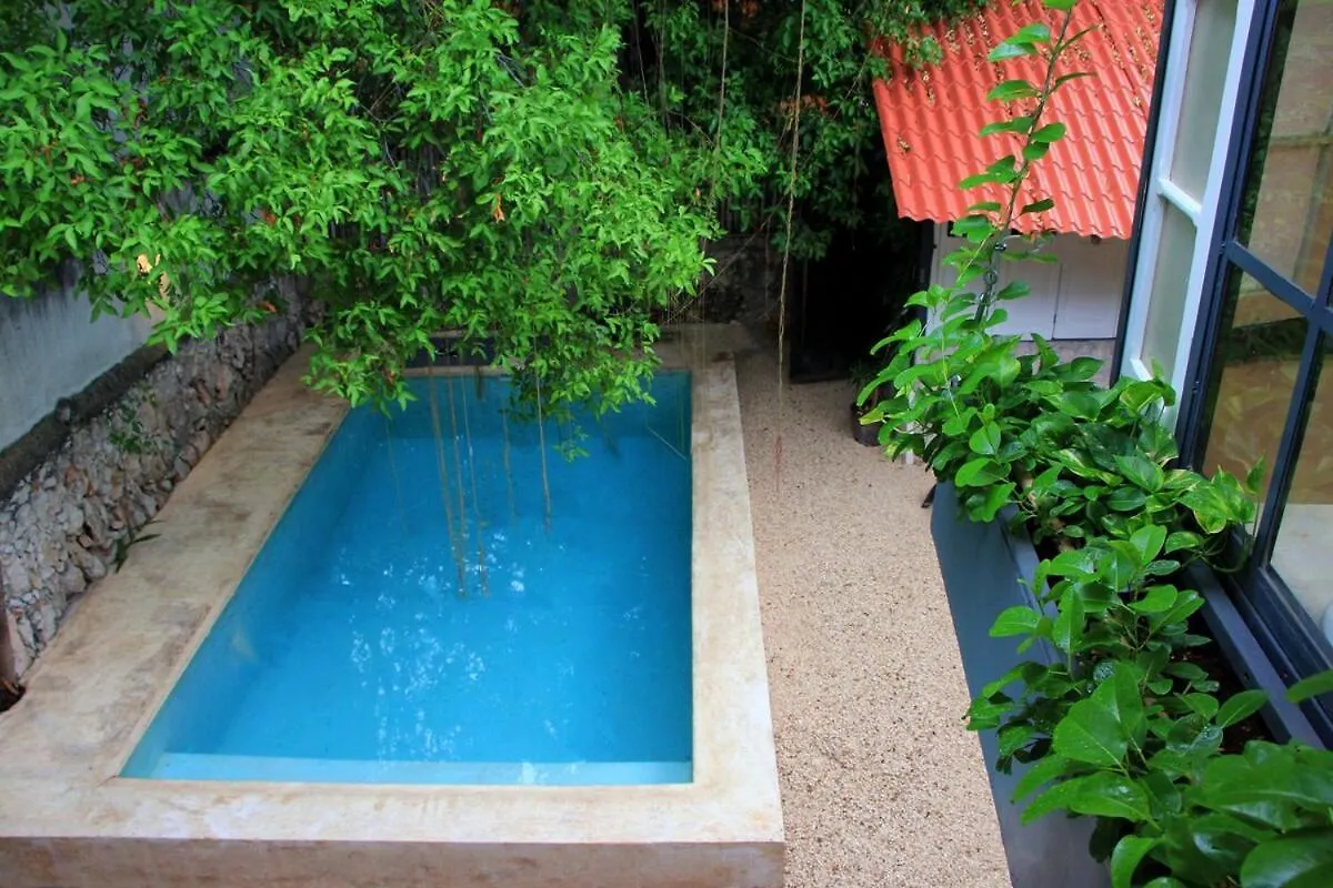 别墅 Oasis With Natural Pool In The Heart Of 梅里达