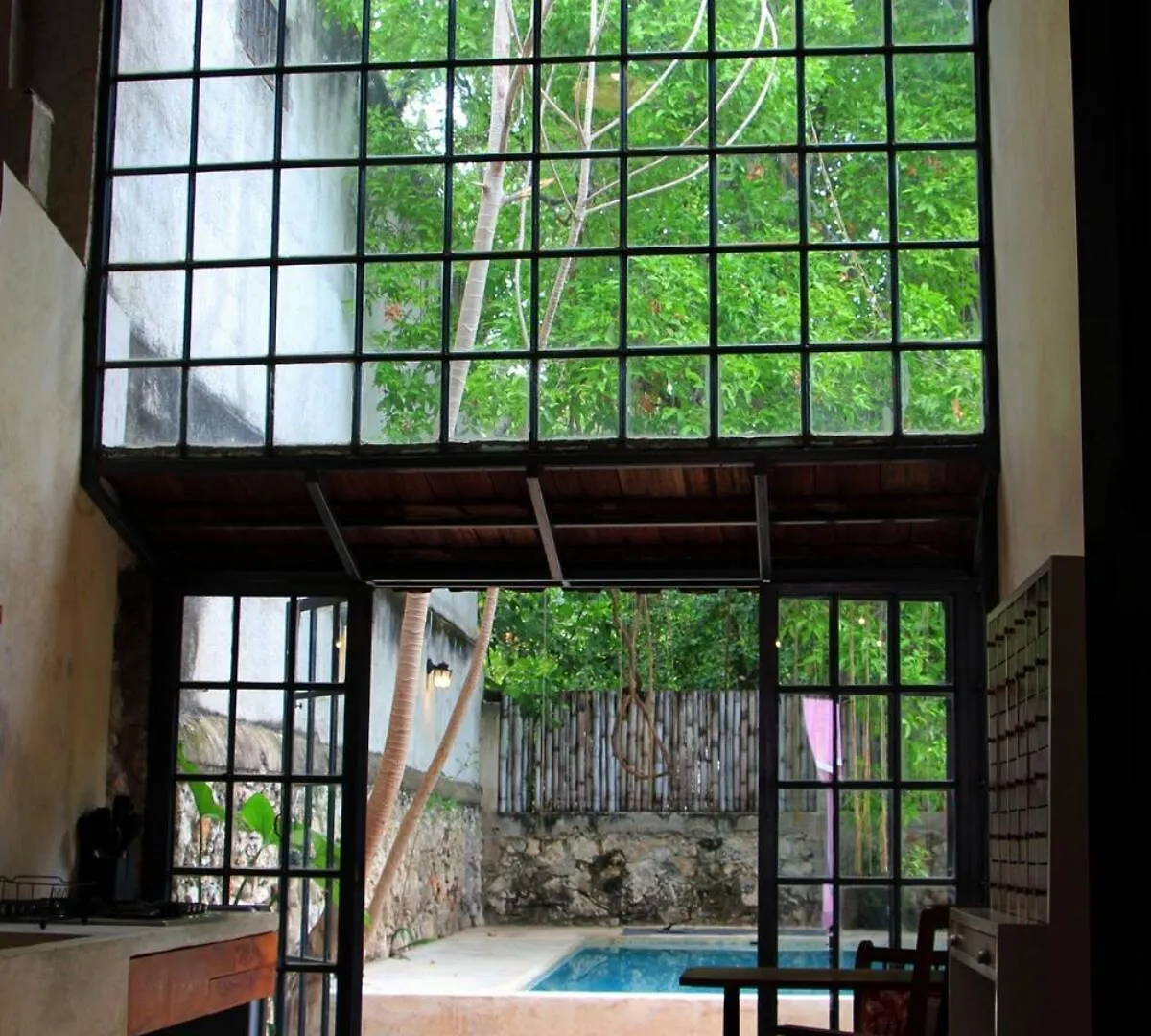 Oasis With Natural Pool In The Heart Of 梅里达 0*,  墨西哥