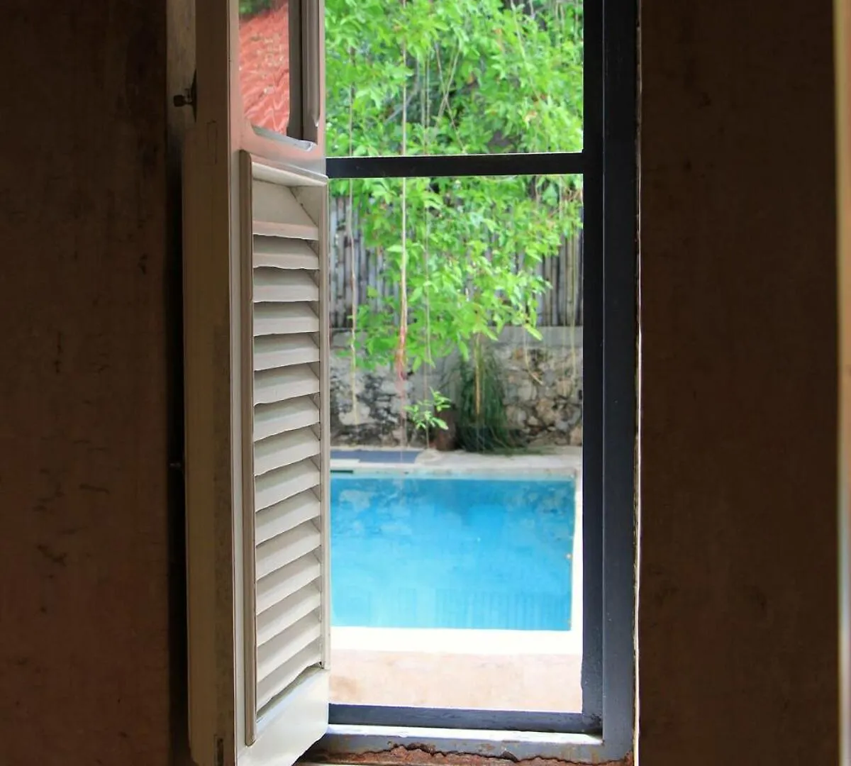 Oasis With Natural Pool In The Heart Of 梅里达 0*,