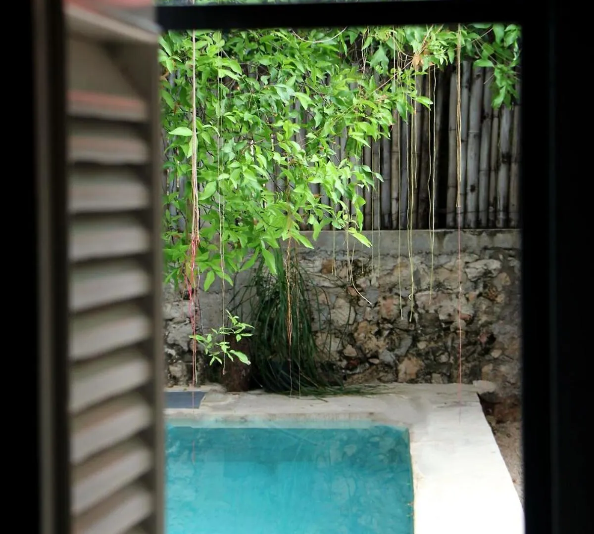 Oasis With Natural Pool In The Heart Of 梅里达 别墅